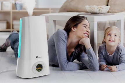 Oturma odasında nemlendirici