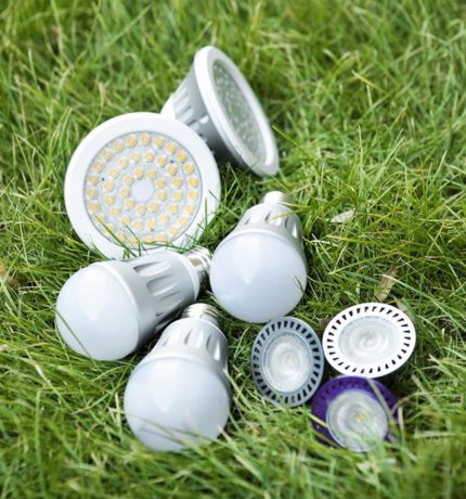 Ampoules LED Ampoules LED